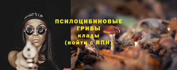 твердый Абинск